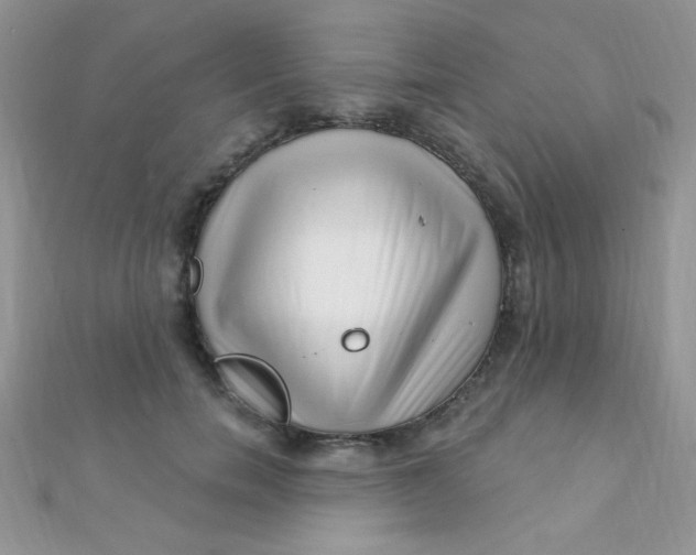 X0000112390750200909032013