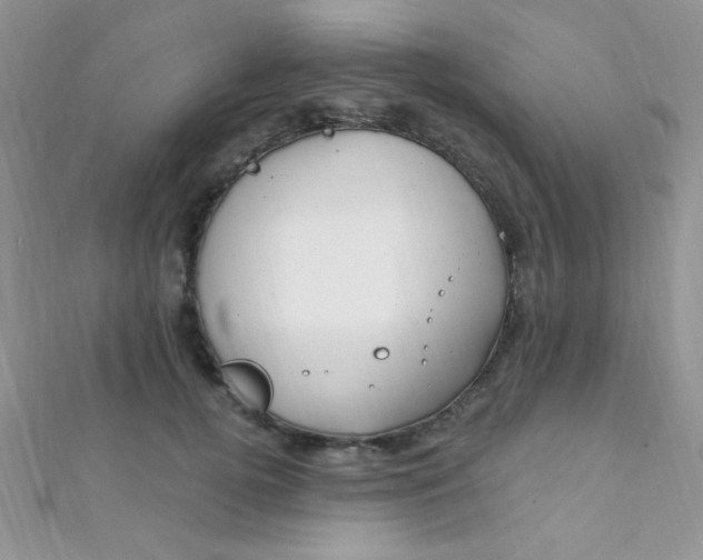 X0000112390752200909032013