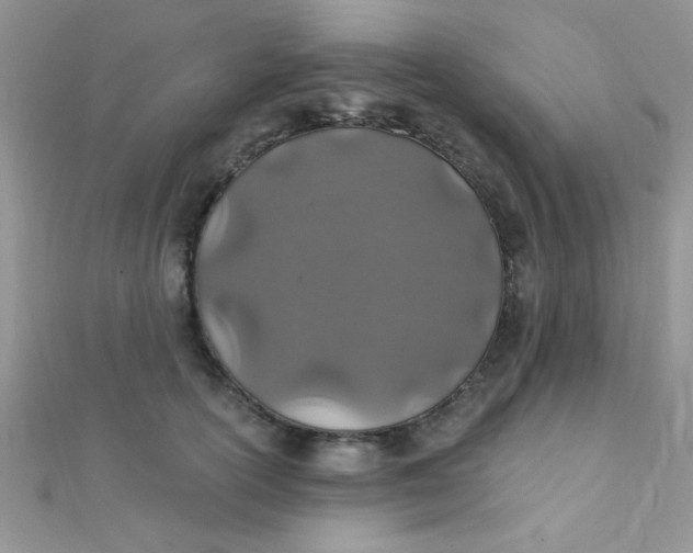 X0000112390754200909032013