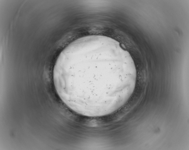 X0000112390755200909032013