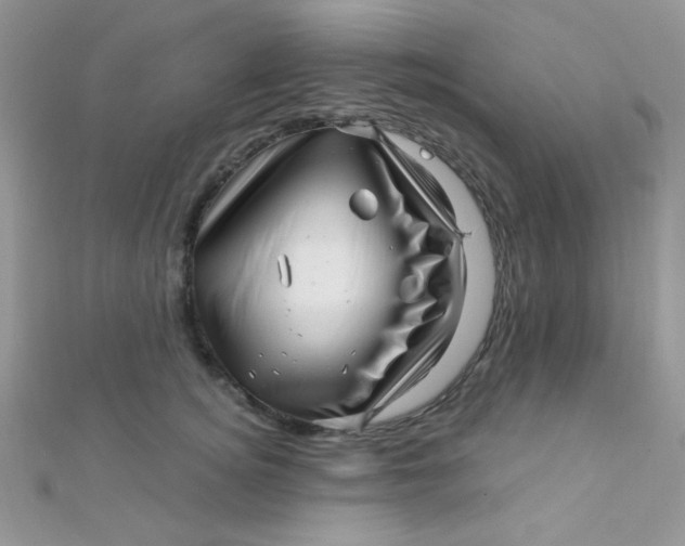 X0000112390756200909032013