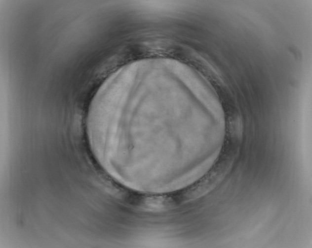 X0000112390757200909032013