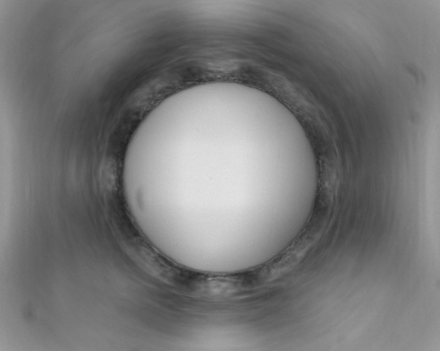 X0000112390758200909032013