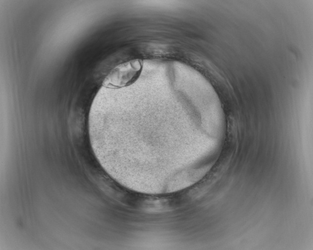 X0000112390760200909032013