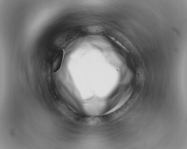 X0000112390762200909032013