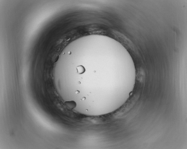 X0000112390763200909032013