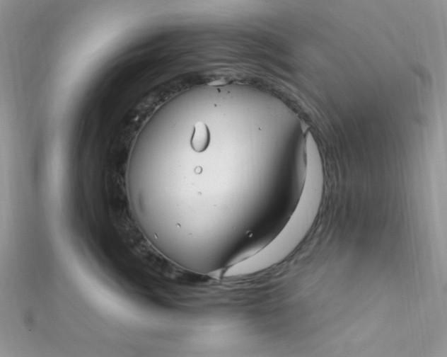 X0000112390764200909032013