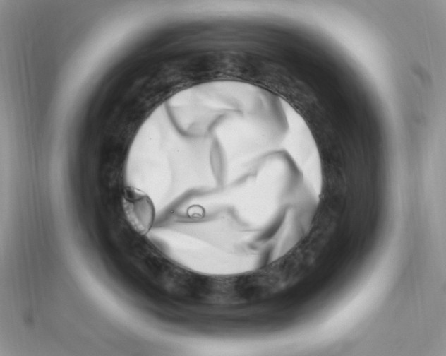 X0000112390766200909032014