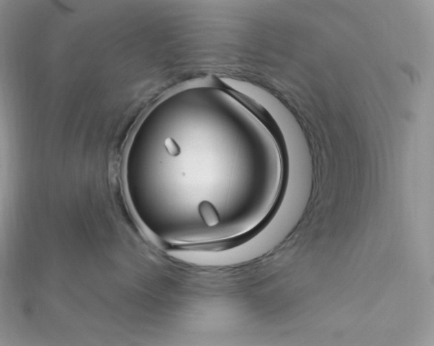 X0000112390768200909032014