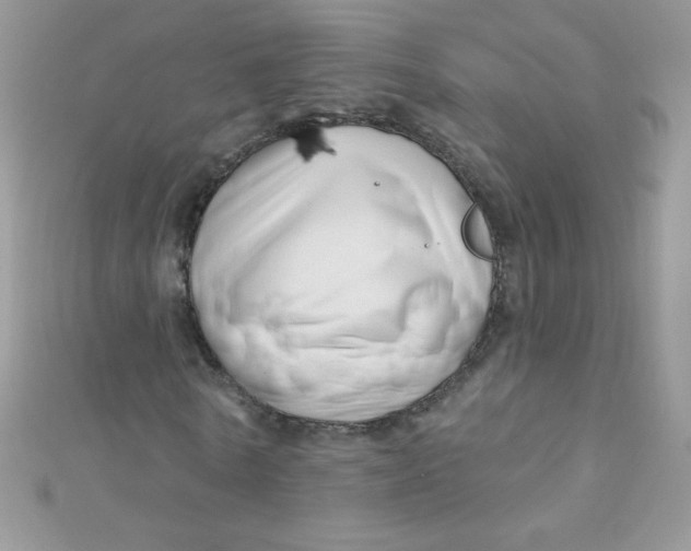 X0000112390770200909032013