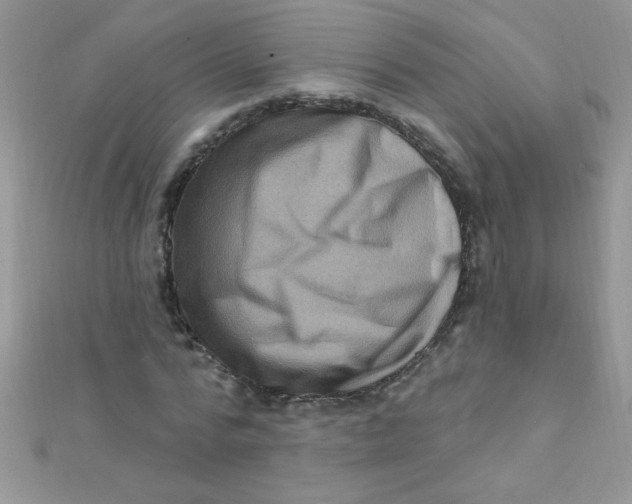 X0000112390776200909032013