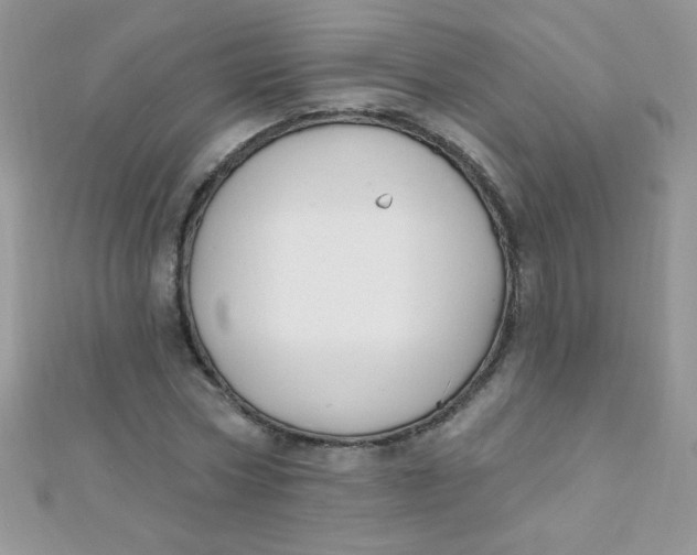 X0000112390778200909032013