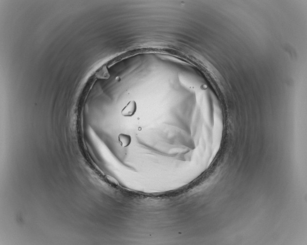 X0000112390779200909032013