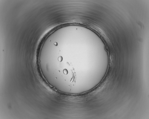 X0000112390780200909032013