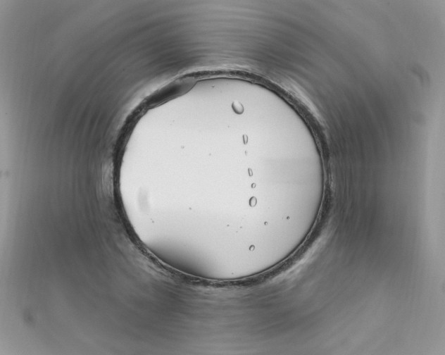 X0000112390781200909032013