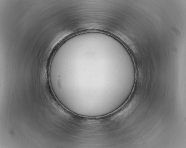 X0000112390782200909032013