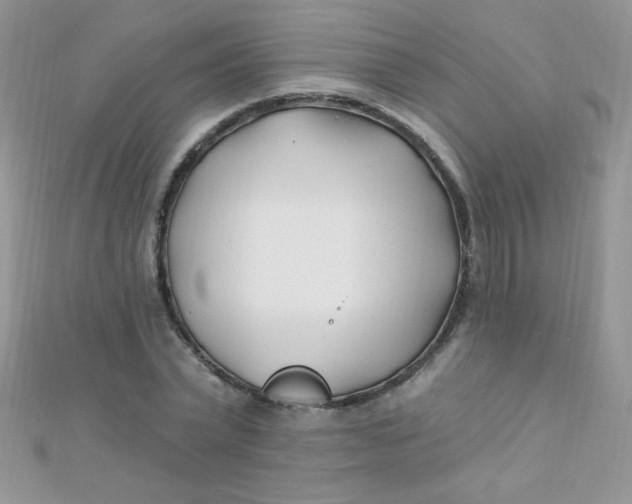 X0000112390783200909032013