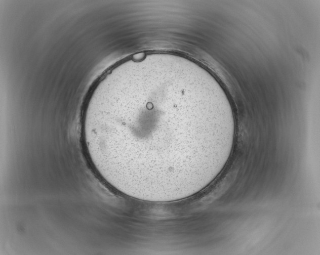 X0000112390787200909032013