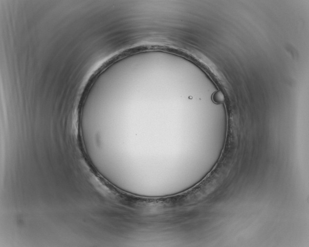 X0000112390791200909032013