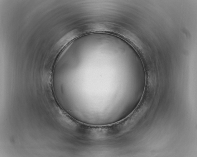 X0000112390793200909032013