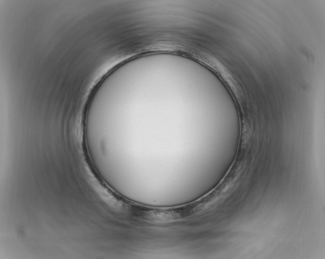 X0000112390795200909032013