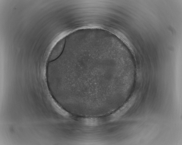 X0000112390797200909032013