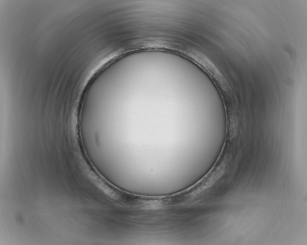 X0000112390798200909032013