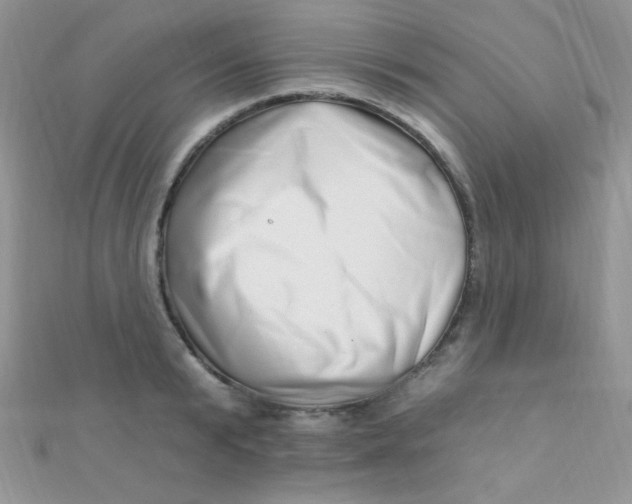 X0000112390799200909032013