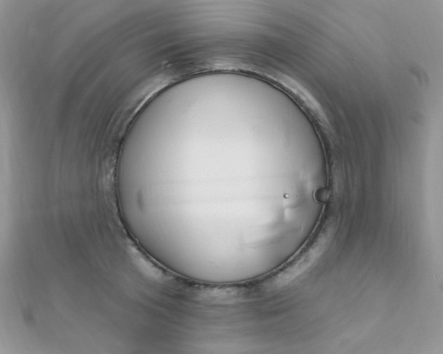 X0000112390801200909032013