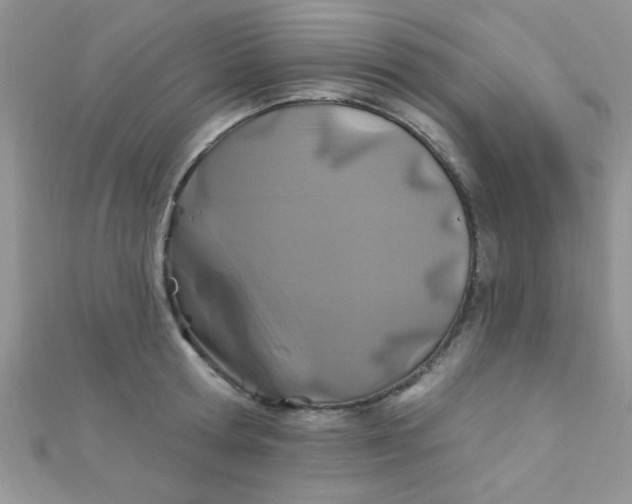 X0000112390802200909032012