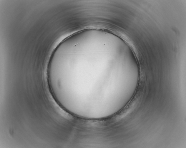 X0000112390803200909032012