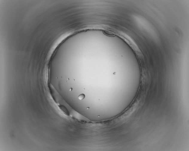 X0000112390804200909032012