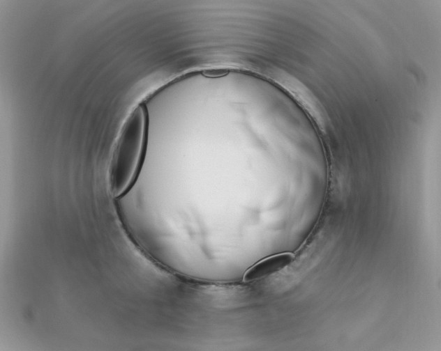 X0000112390805200909032012