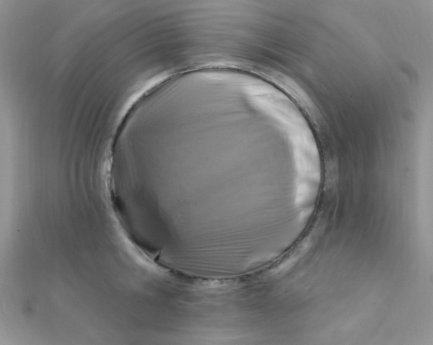 X0000112390806200909032012