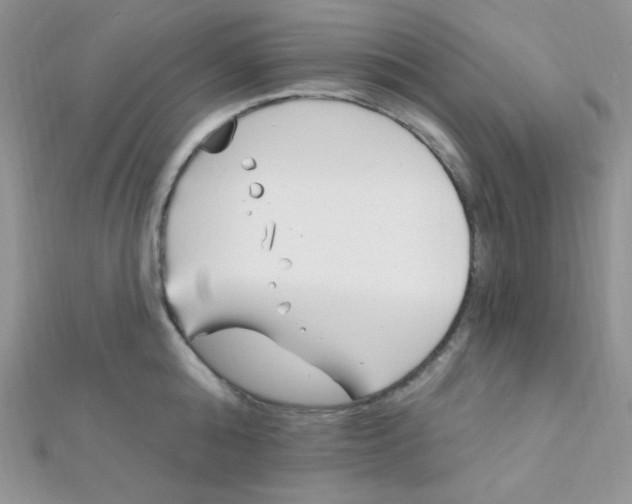 X0000112390808200909032012