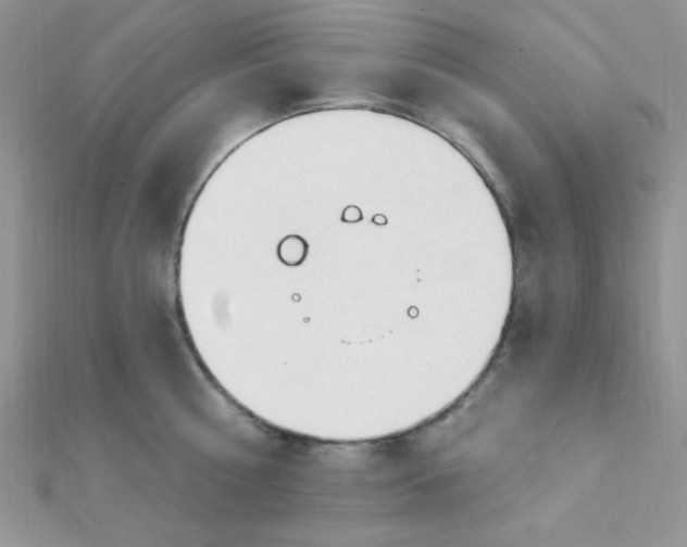 X0000112390810200909032012