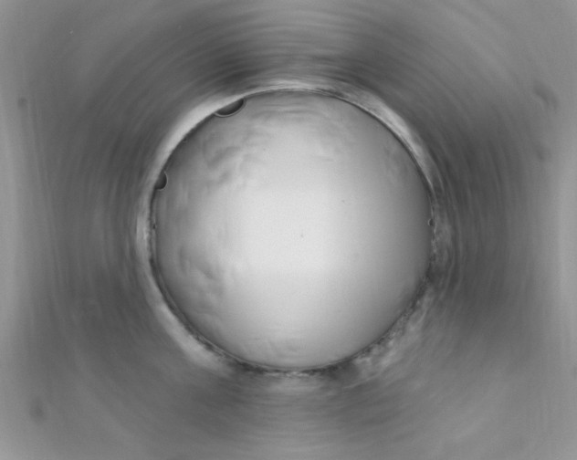 X0000112390811200909032012