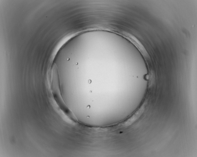 X0000112390812200909032012