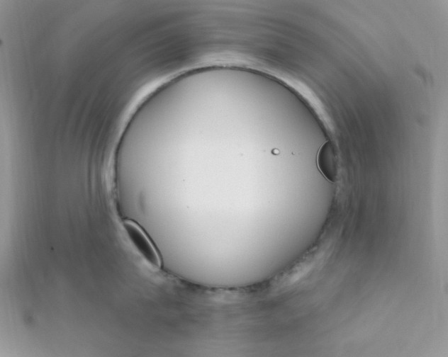 X0000112390815200909032012