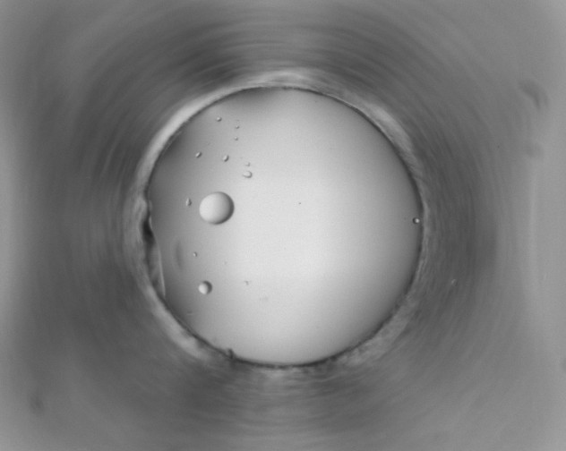 X0000112390816200909032012