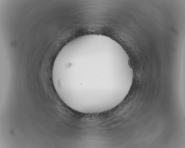 X0000112390817200909032012