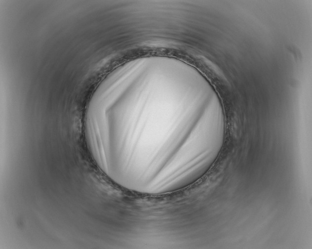 X0000112390821200909032012