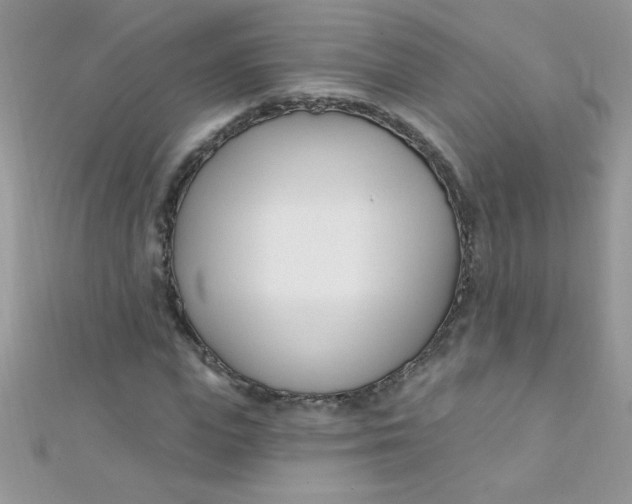 X0000112390823200909032012