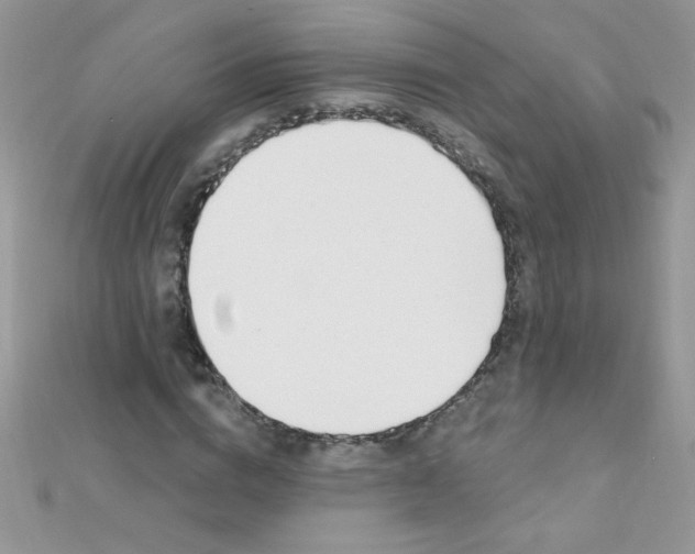 X0000112390824200909032012