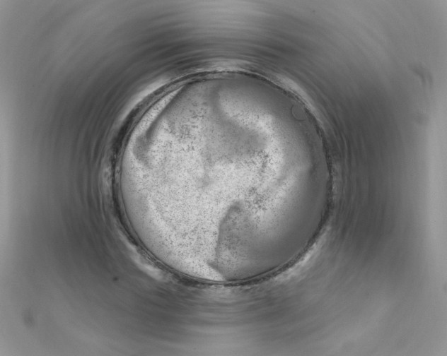 X0000112390827200909032012