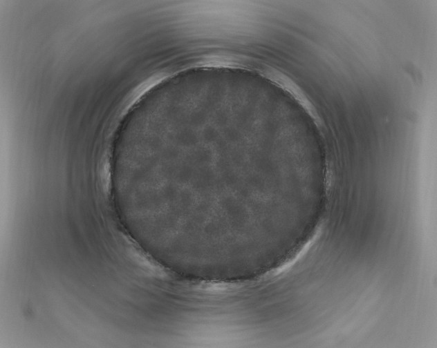 X0000112390829200909032012