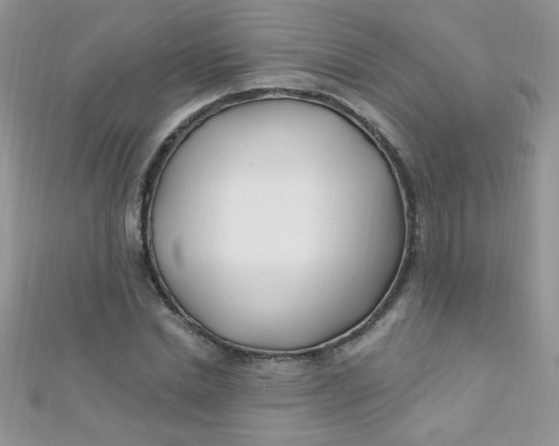 X0000112390830200909032012