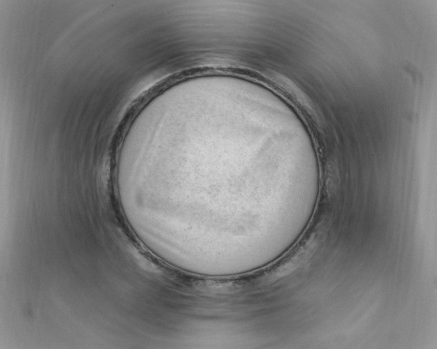 X0000112390831200909032012