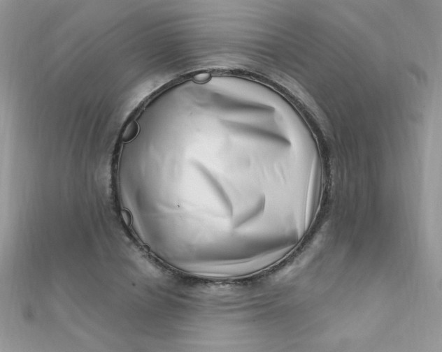 X0000112390834200909032012