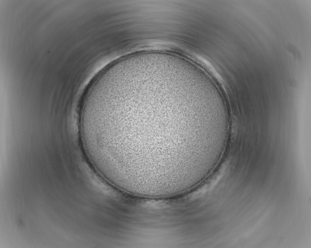 X0000112390835200909032012